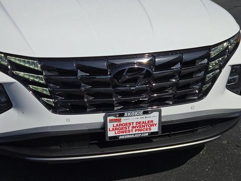 Used 2024 Hyundai Tucson Limited AWD/4WD image 6