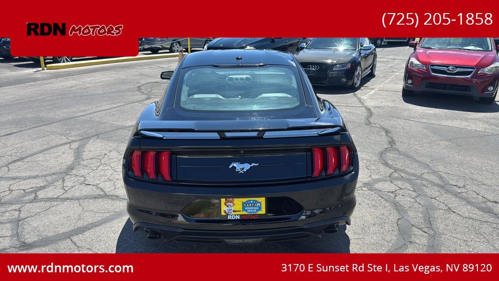 Used 2019 Ford Mustang Premium w/ Ecoboost Performance Package RWD image 10