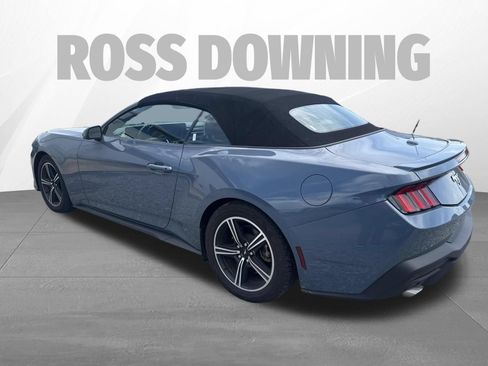 Used 2024 Ford Mustang Premium RWD image 3