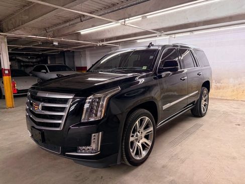 Used 2015 Cadillac Escalade Premium AWD/4WD image 1