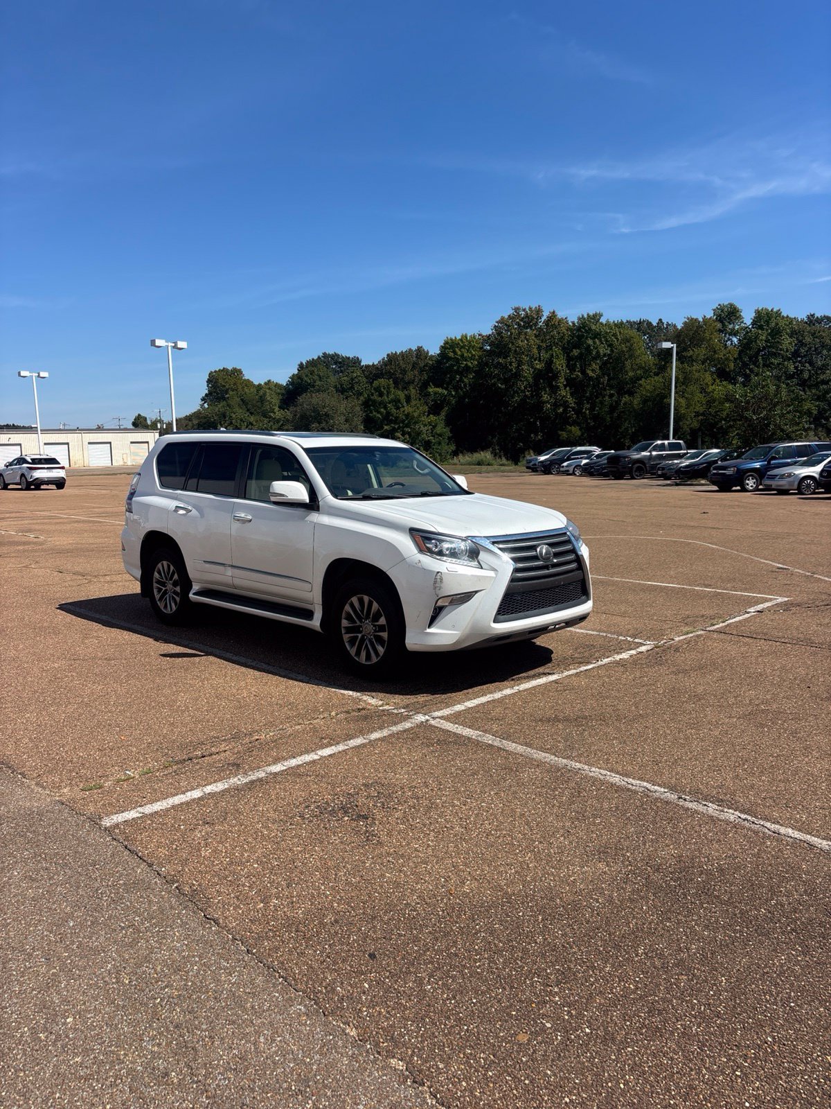 Used 2019 Lexus GX 460 Luxury AWD/4WD image 19