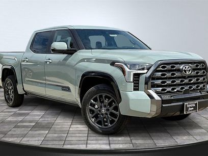 New 2026 Toyota Tundra Platinum