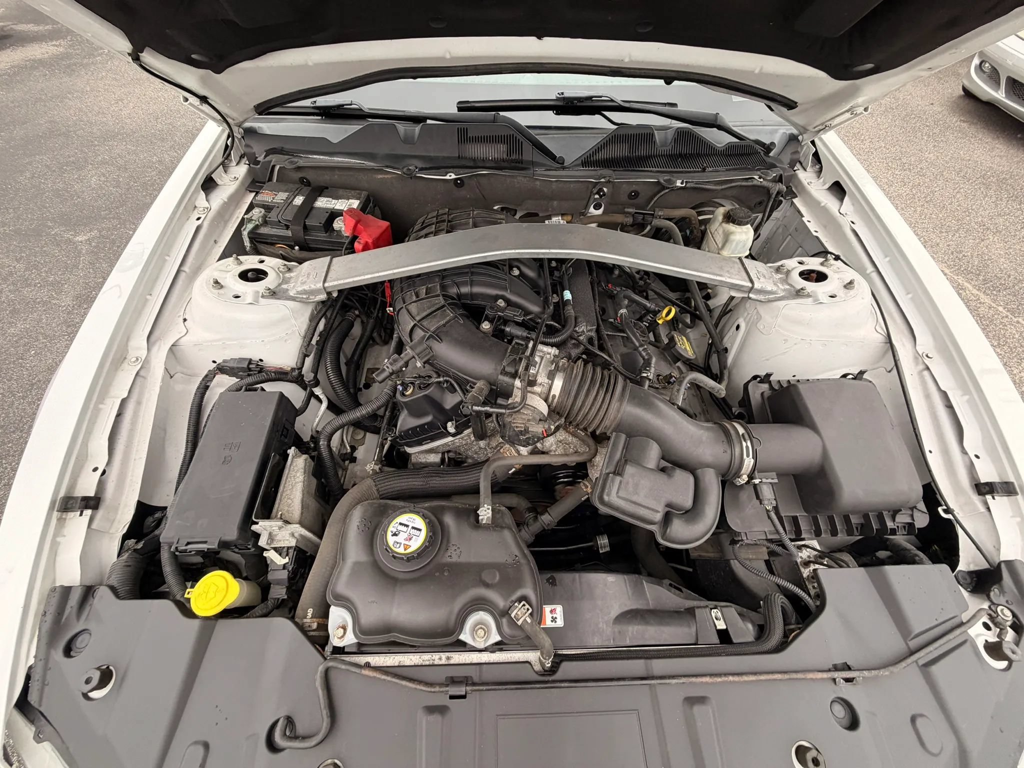 Used 2014 Ford Mustang Premium RWD image 38