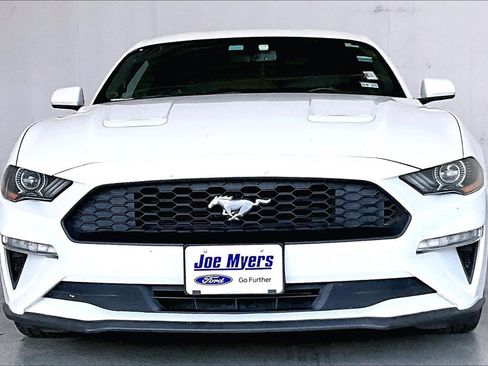 Used 2019 Ford Mustang Coupe w/ Equipment Group 101A image 3