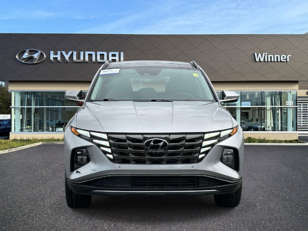 Used 2024 Hyundai Tucson Limited AWD/4WD image 7