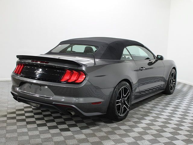 Used 2019 Ford Mustang Premium RWD image 7