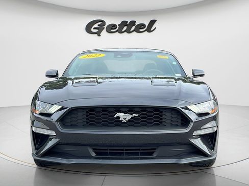 Used 2022 Ford Mustang Coupe w/ Equipment Group 101A RWD image 2