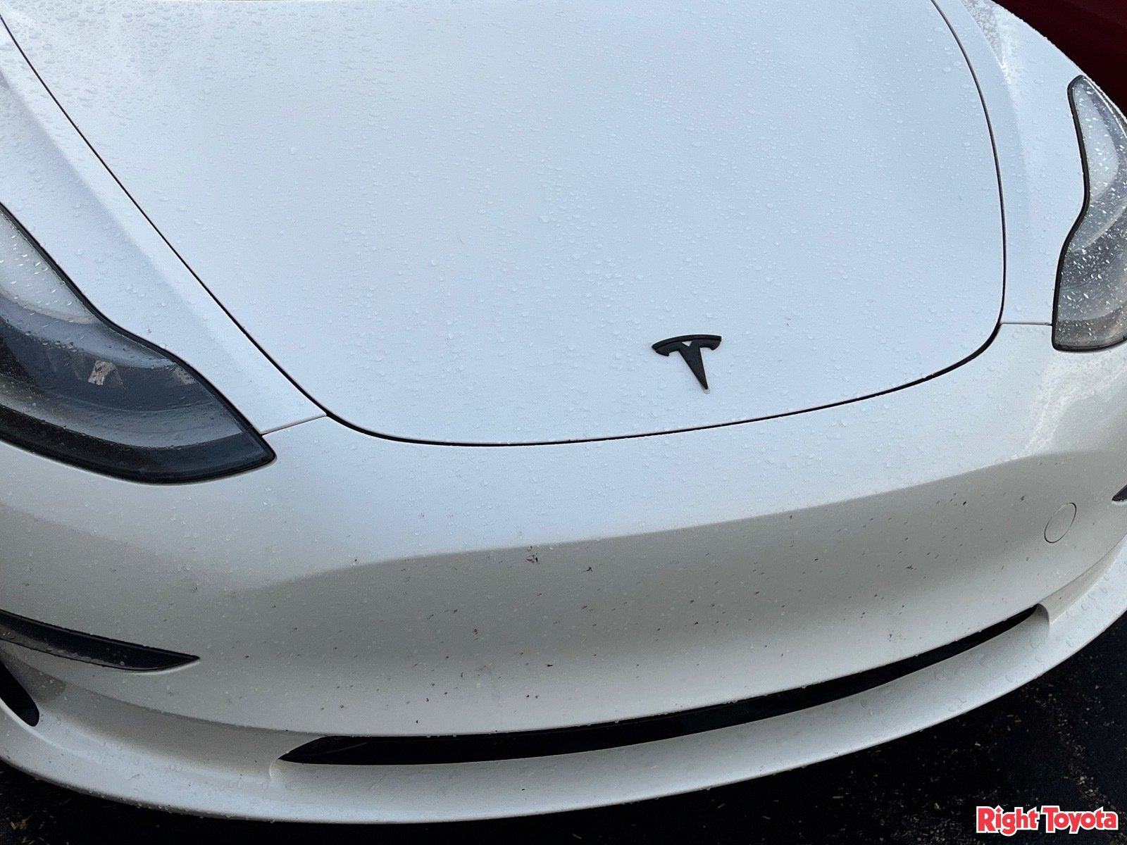 Used 2023 Tesla Model 3 Standard Range RWD image 7
