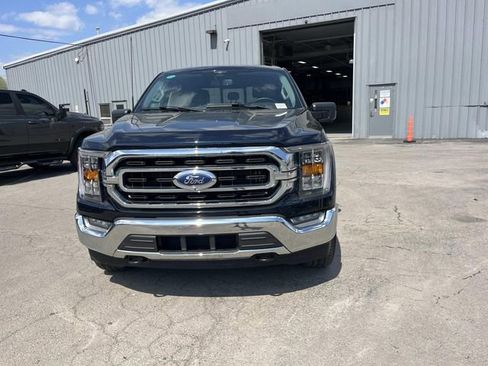 Used 2023 Ford F150 XLT w/ Equipment Group 302A High image 8