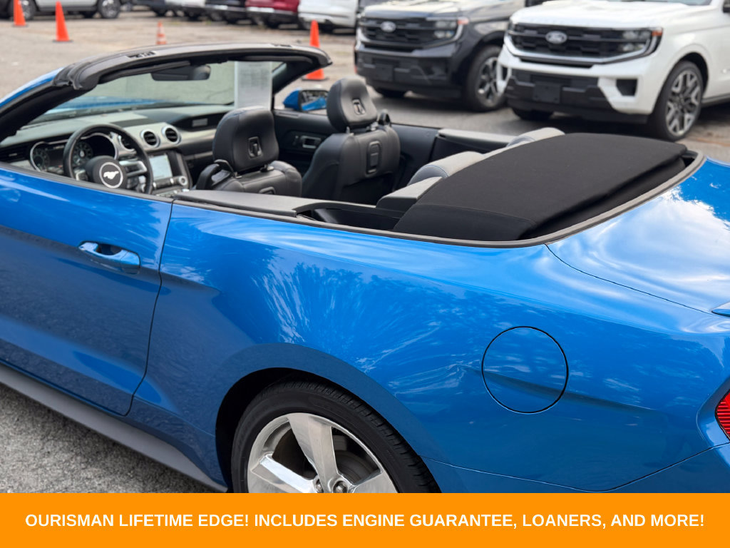 Used 2019 Ford Mustang Premium w/ Equipment Group 201A RWD image 33