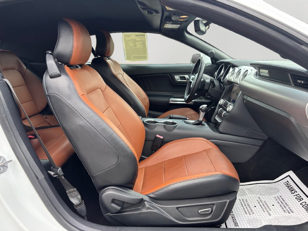 Used 2019 Ford Mustang Premium RWD image 12