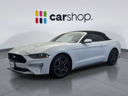 Used 2019 Ford Mustang Premium
