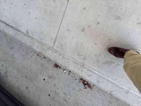 Used 2016 Honda Odyssey Touring Elite image 15