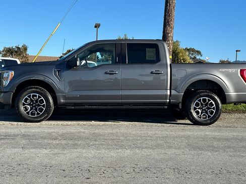 Used 2023 Ford F150 XLT w/ Equipment Group 302A High image 2