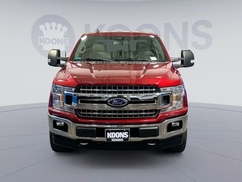 Used 2019 Ford F150 XLT w/ Equipment Group 302A Luxury image 12