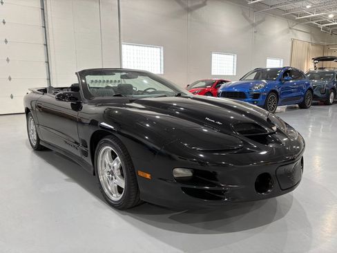 Used 2001 Pontiac Firebird Trans Am RWD image 9