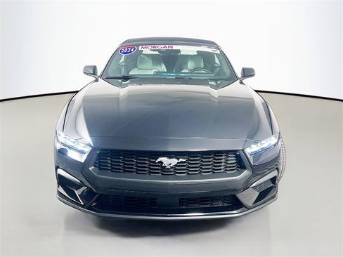 Used 2024 Ford Mustang Premium image 2