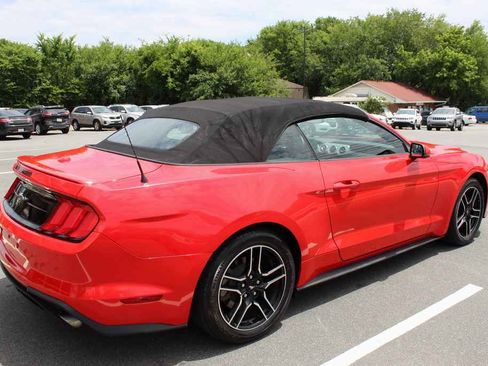 Used 2020 Ford Mustang Premium RWD image 5