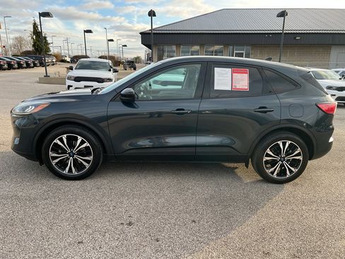 Used 2022 Ford Escape SE w/ SE Sport Appearance Package image 4