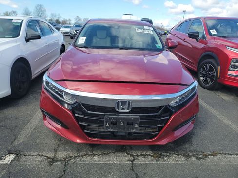 Used 2020 Honda Accord EX-L image 2