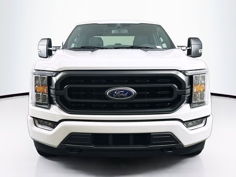 Used 2023 Ford F150 XLT w/ Equipment Group 302A High image 2