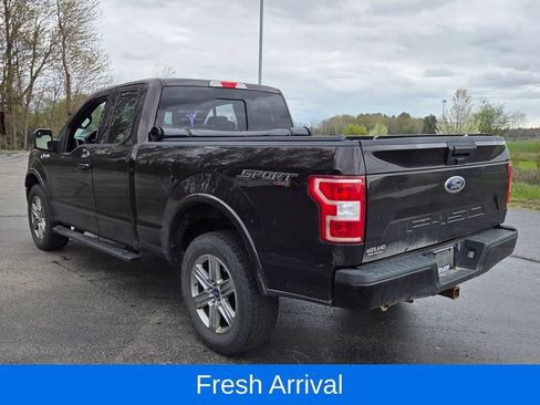 Used 2019 Ford F150 XLT w/ Equipment Group 302A Luxury AWD/4WD image 5