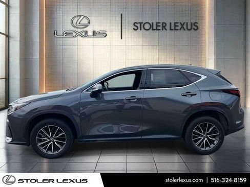Used 2024 Lexus NX 350h AWD image 4