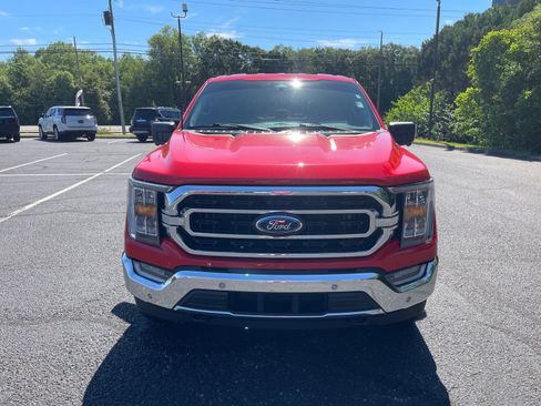 Used 2023 Ford F150 XLT w/ Equipment Group 302A High AWD/4WD image 2