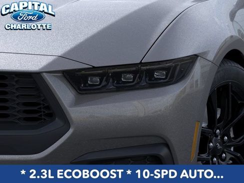 New 2026 Ford Mustang Coupe w/ Mustang Nite Pony Package RWD image 19