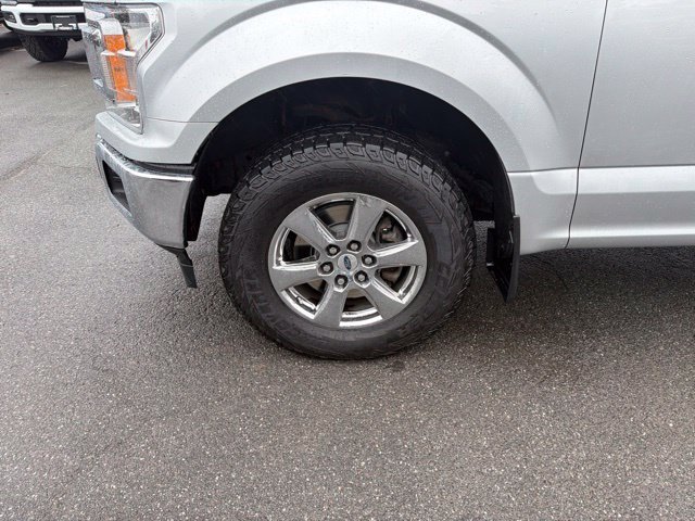 Used 2019 Ford F150 XLT w/ Equipment Group 302A Luxury AWD/4WD image 13