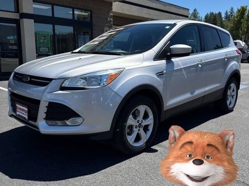 Used 2016 Ford Escape SE AWD/4WD image 1