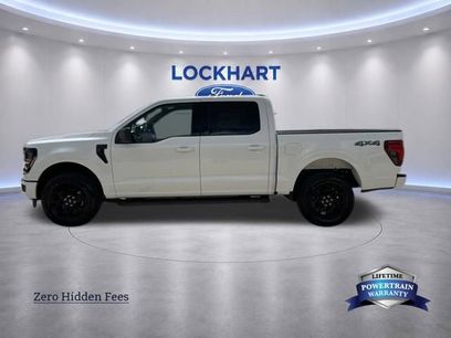 New 2026 Ford F150 XLT w/ XLT Black Appearance Package