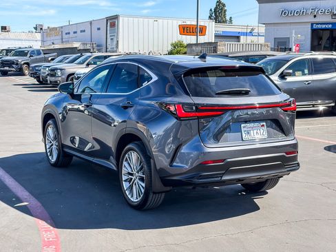 Certified 2025 Lexus NX 350h AWD w/ Cold Area Package image 2