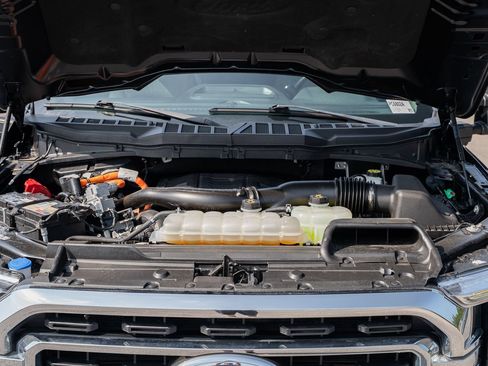 Used 2023 Ford F150 XLT w/ Equipment Group 302A High RWD image 23