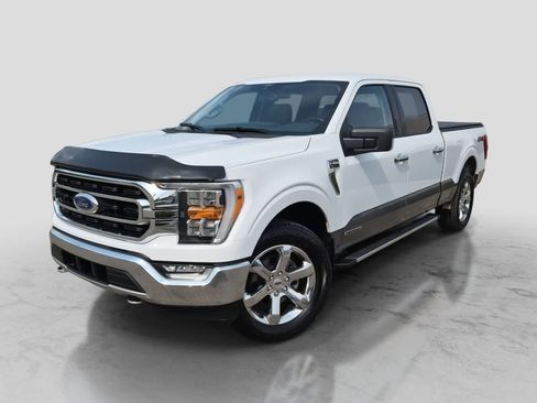 Used 2021 Ford F150 XLT w/ Equipment Group 302A High AWD/4WD image 1