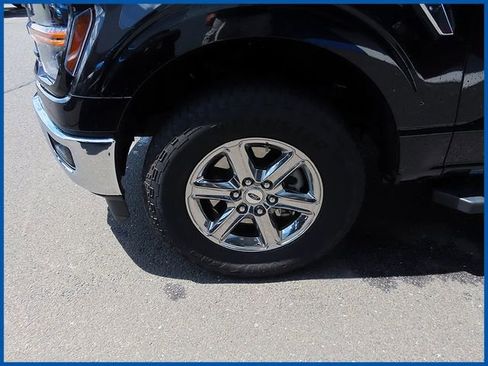 Used 2025 Ford F150 XLT w/ Equipment Group 301A Standard AWD/4WD image 4