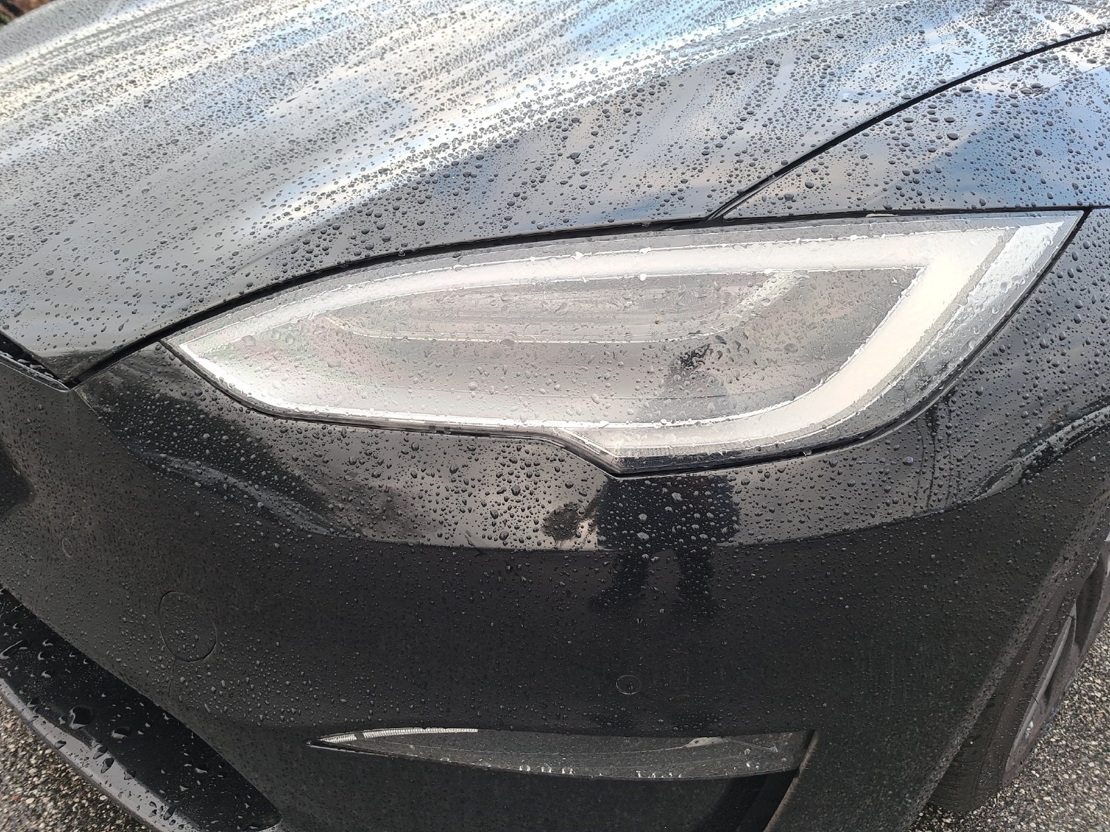 Used 2021 Tesla Model S Long Range AWD/4WD image 12