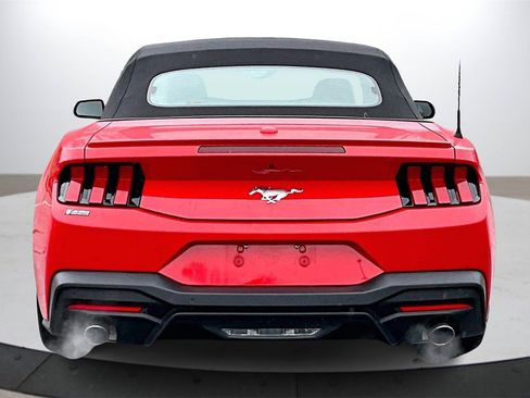 Used 2024 Ford Mustang Premium image 7