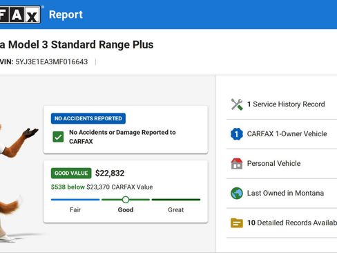 Used 2021 Tesla Model 3 Standard Range Plus RWD image 5