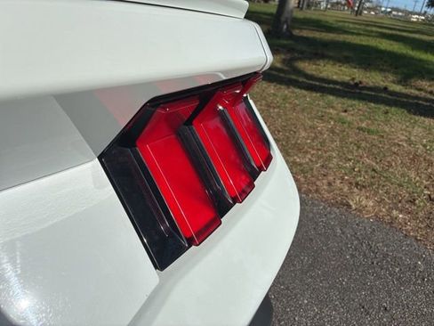Used 2024 Ford Mustang Premium image 14