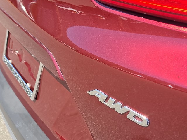 Used 2019 Honda CR-V EX-L image 6