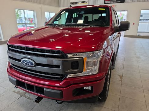 Used 2019 Ford F150 XLT w/ Equipment Group 302A Luxury AWD/4WD image 2