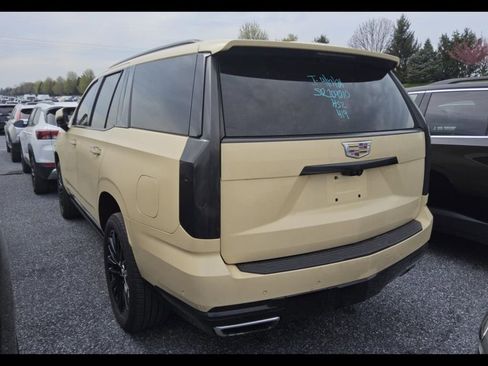 Used 2025 Cadillac Escalade Premium Luxury AWD/4WD image 5