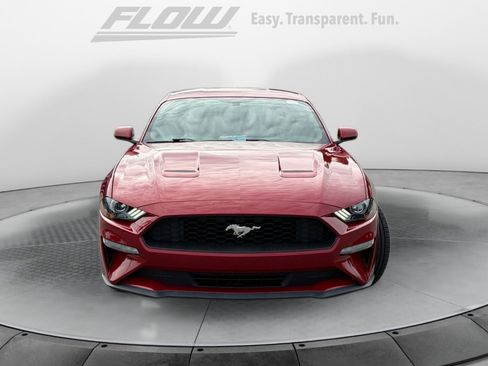Used 2020 Ford Mustang Coupe w/ Equipment Group 101A RWD image 3