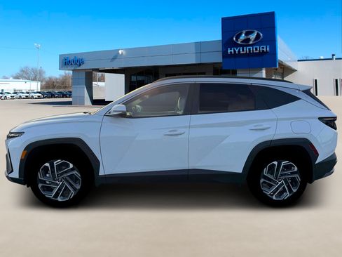 New 2026 Hyundai Tucson Limited AWD/4WD image 3