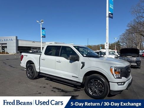 Used 2023 Ford F150 XLT w/ Equipment Group 302A High AWD/4WD image 1