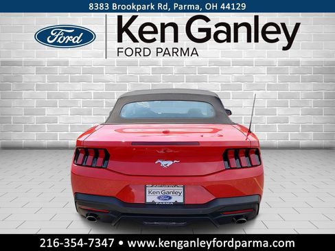 New 2025 Ford Mustang EcoBoost image 6