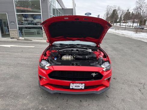 Used 2021 Ford Mustang GT Premium w/ Equipment Group 401A image 11