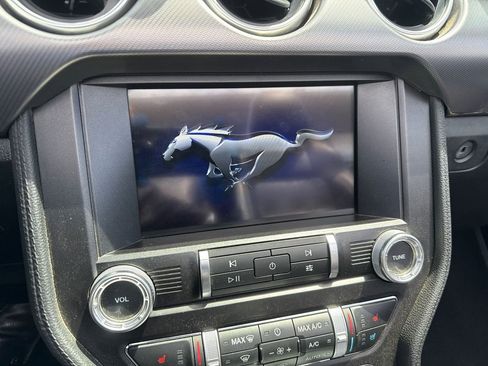 Used 2019 Ford Mustang Premium w/ Equipment Group 201A RWD image 14