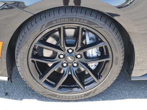 Used 2025 Ford Mustang GT w/ Mustang Nite Pony Package RWD image 14
